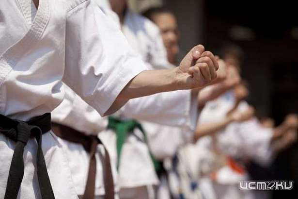 Орловские каратисты завоевали 2 медали на домашнем этапе кубка России