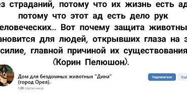 Орловские зоозащитники поздравляют Валентину Борисовну с Днем рождения. К сожалению, ее фамилию не сообщили, прислав нам эту информацию.