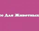 «Фармина»: cпрашивайте в магазинах «Все для животных»!