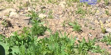 Ремонт улицы Михалицина завершен. Только не всем он пришелся по душе!