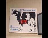 Новые тепличные комплексы и гранты фермерам: как в Орловской области будут развивать сельское хозяйство