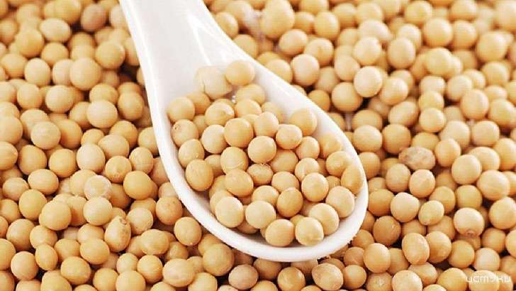 На Орловщине планируют открыть ультрасовременный семеноводческий центр