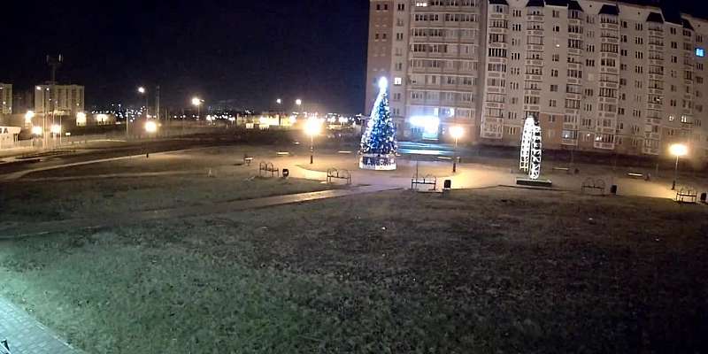 Видео: в Орле разыскивают хулиганов, утащивших новогоднего оленя