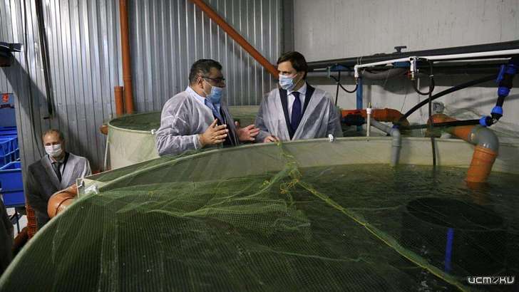 Почти миллиард рублей вложат на Орловщине в разведение рыбы