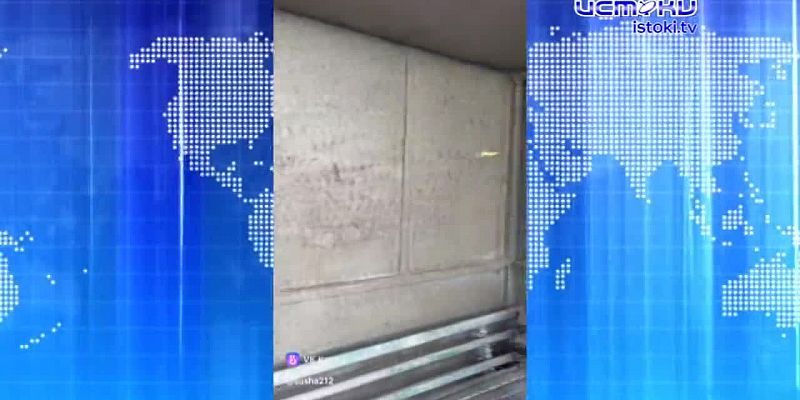 Сразу 2 новости про исторический дуб. Экспресс - новости.
