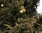 Жители считают, что внешнее убранство Орла не создает праздничного настроения