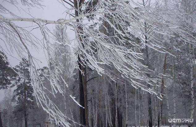 МЧС предупреждает орловчан о непогоде в ближайшие сутки