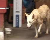 Новости за 90 секунд: мусор в Орле окончательно победил чистоту и все это в Год экологии, орловские дорожники снова звезды "Youtube", каждый 10-й рубл...