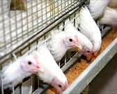 Новости за 90 секунд: очередное производство в Орле закрылось, 730% годовых в законе, а орловские полицейские "согрели" туляков