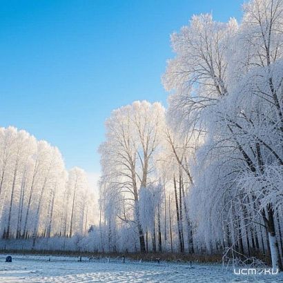 Орловщину ждет похолодание 