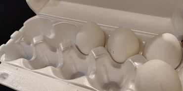 цены на продукты В Орловской области подешевели яйца и подорожали инструменты