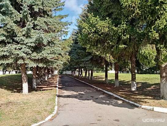 Орловчане снова смогут выбрать, какие общественные места благоустроят в первую очередь