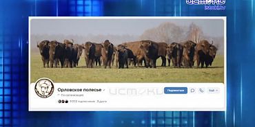 Не утащишь!