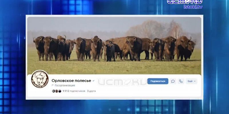 Не утащишь!