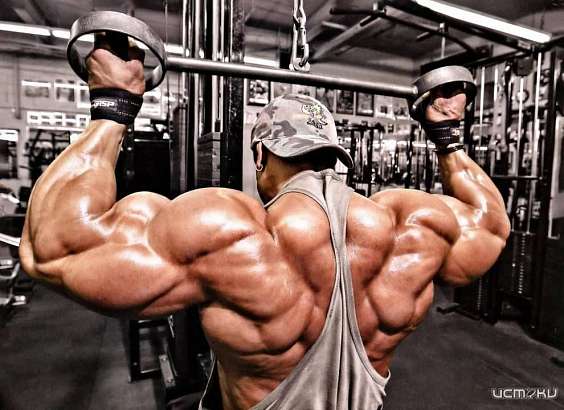 В Орле пройдёт открытый кубок Орловской области по бодибилдингу