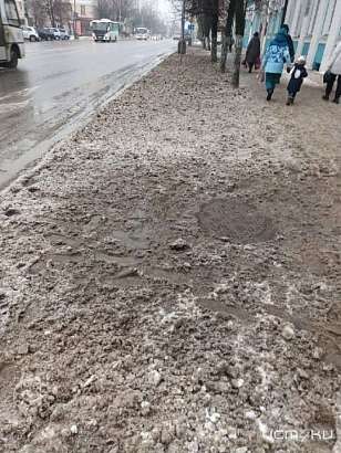 Орёл погряз в мутной жиже из снега