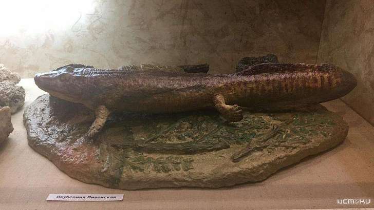 В Ливны завезли останки древней рептилии