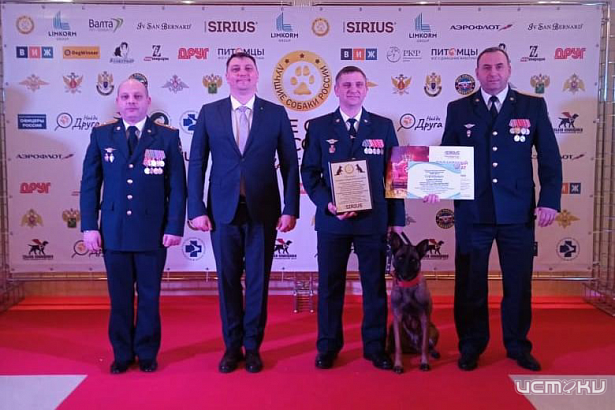 Орловские кинологи и их четвероногие напарники блеснули на выставке «Лучшие собаки России»