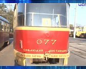 Собаки чувствуют себя хозяевами в орловских дворах