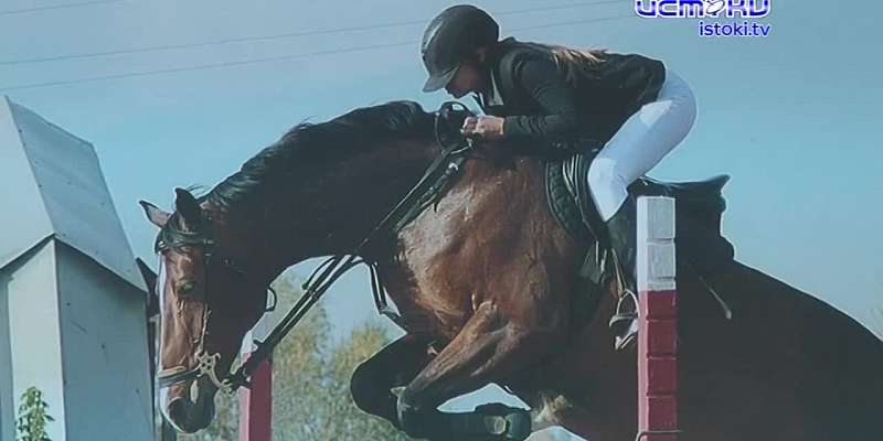 Узнать все о конном спорте через объектив: в Орле открылась выставка педагога фотоцентра «Ракурс»