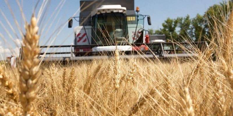 На Орловщине стартует традиционная аграрная неделя