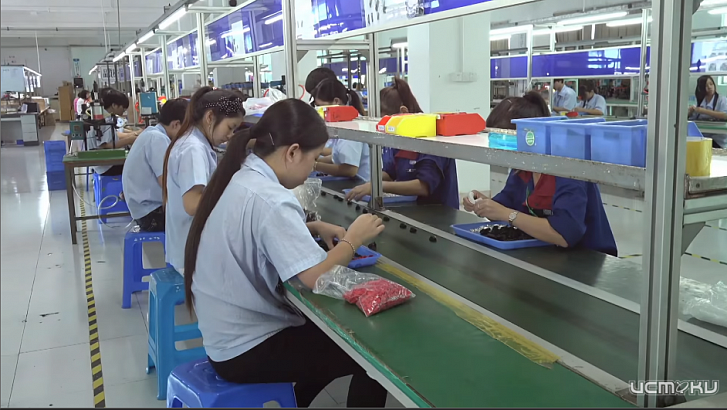 Какие бывают виды детских игрушек?