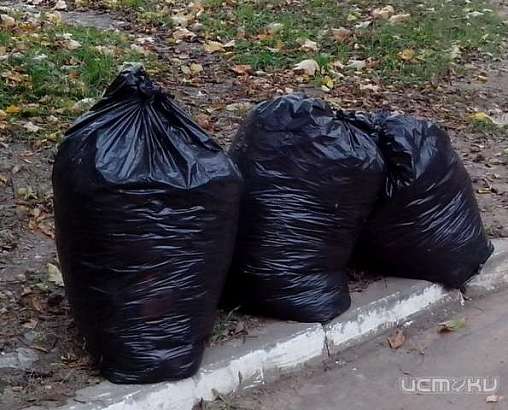 Фанаты ФК "Орел" выйдут на экологический субботник