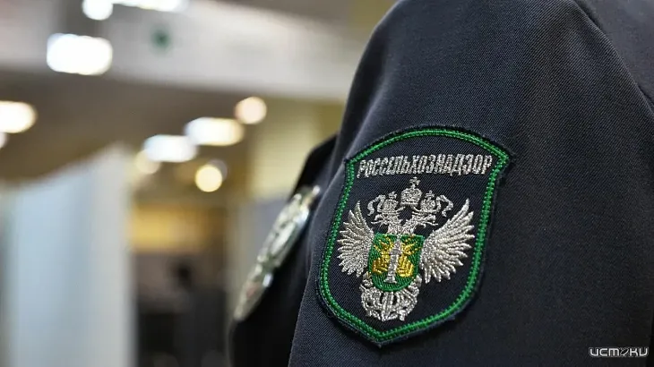 В Орловской области разоблачили фантомное производство молочной продукции