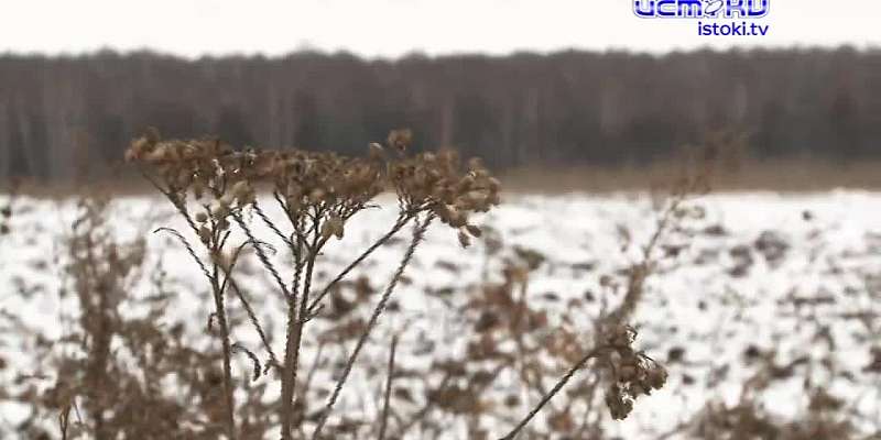Религию – в массы, а сельское хозяйство подождет: под Орлом незаконно строится храм