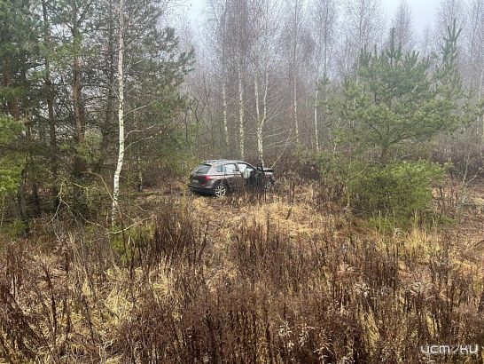 Под Орлом пострадала водитель иномарки, врезавшейся в дерево