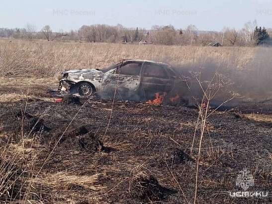 В Орловской области авто стало причиной пала сухой травы на площади 300 кв. метров