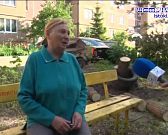 Деревья или парковка: камень преткновения одного двора1720516831