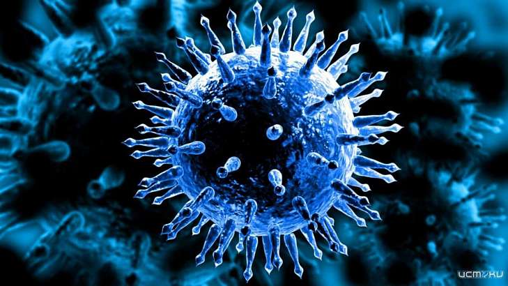 Коронавирус бушует в четырех районах Орловщины