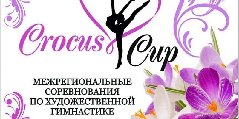 В Орле завершился турнир по художественной гимнастике Crocus cup