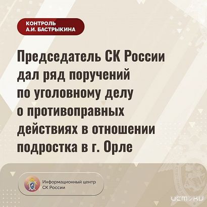 Бастрыкин взял на контроль дело об избиении орловского подростка Бастрыкин взял на контроль дело об избиении орловского подростка