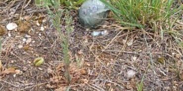 Орловчан предупреждают о суббоеприпасах ракет ATACMS