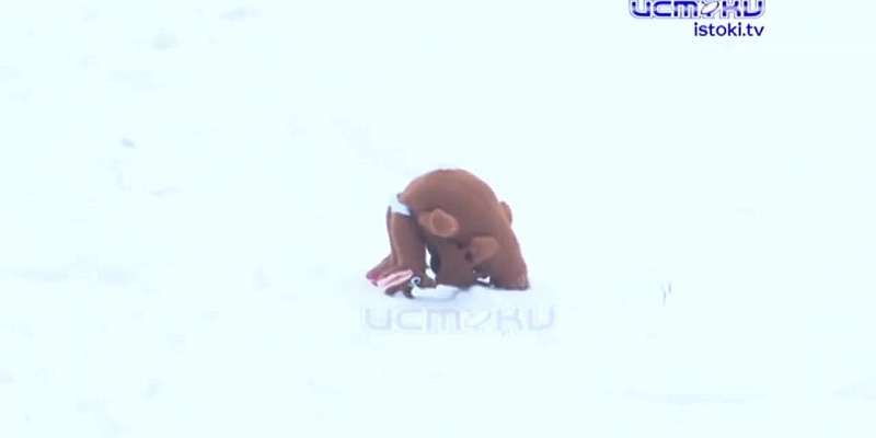 Как весело отметить Новый год с фейерверками и не испортить себе праздник