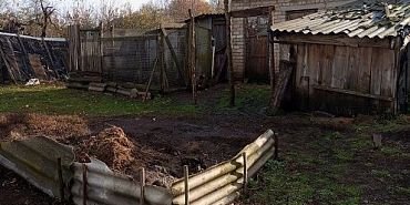 Россельхознадзор Жители поселка в Орловской области пожаловались на антисанитарию