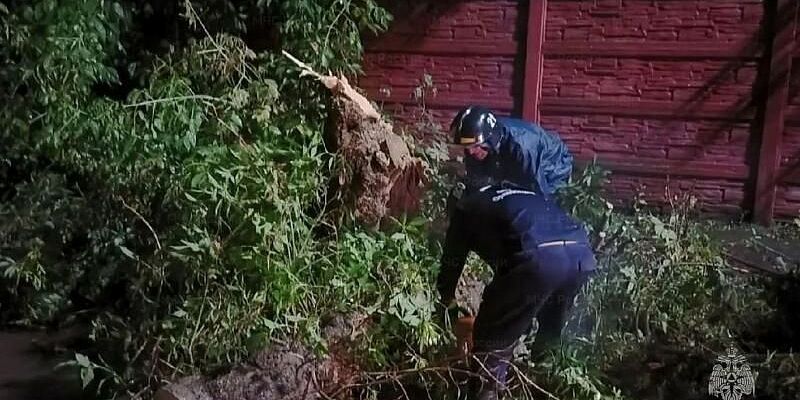Холодный фронт ударил по Орловщине: 9 упавших деревьев, сбои в электроснабжении и работа аварийных бригад