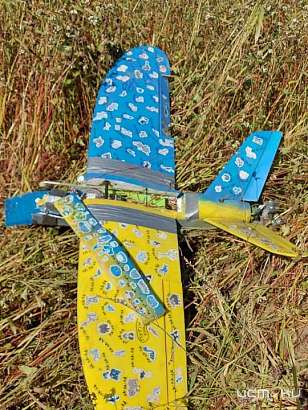 Орловскую область пытались атаковать два украинских беспилотника