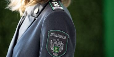 В трех орловских кафе готовили блюда из сомнительного мяса