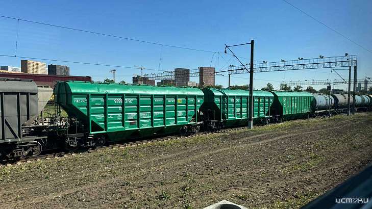 Погрузка на железной дороге в Орловской области выросла более чем на четверть в январе – мае