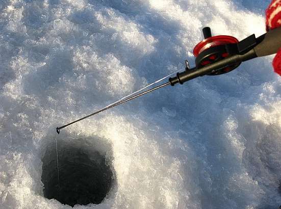 Сегодня в Орле пройдет семинар по зимней ловле рыбы