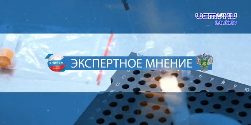 Экспертное мнение 05.08.2026