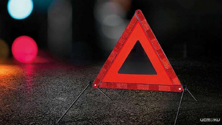 В Орловской области двое человек пострадали в слетевшем с трассы «Рено»