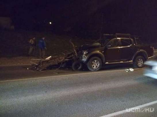 Под Орлом виновника смертельного ДТП с повозкой посадили на три года