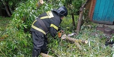 В Хомутово спасатели убрали дерево, упавшее на жилой дом из‑за сильного ветра