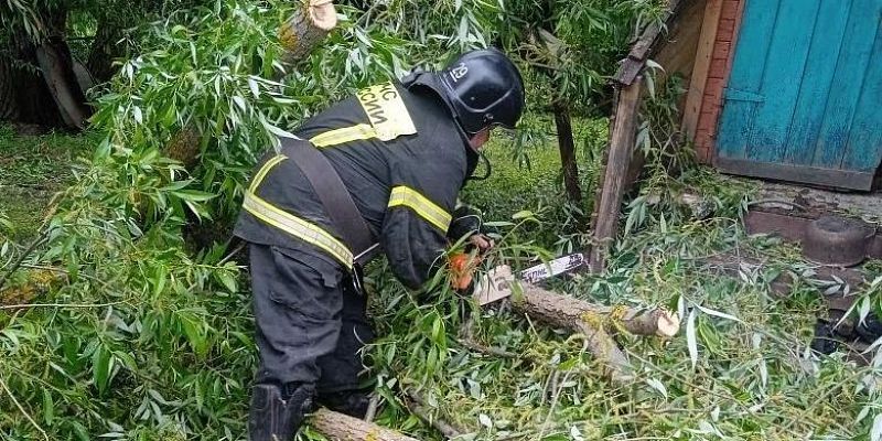 В Хомутово спасатели убрали дерево, упавшее на жилой дом из‑за сильного ветра