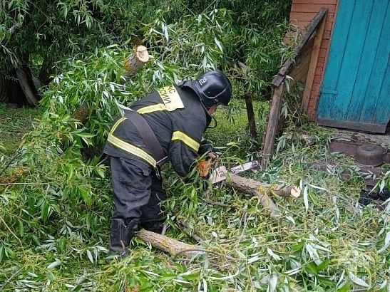 В Хомутово спасатели убрали дерево, упавшее на жилой дом из‑за сильного ветра