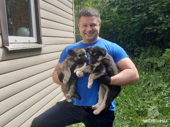 Орловские спасатели пришли на помощь пушистым малышам